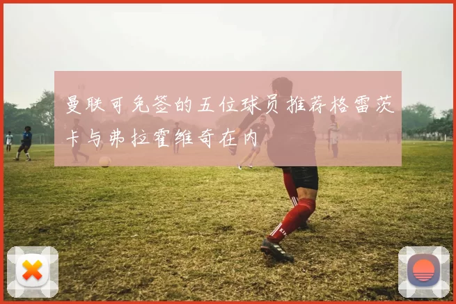 曼联可免签的五位球员推荐格雷茨卡与弗拉霍维奇在内